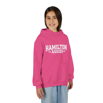 Youth Hoodie Sweatshirt \ Hamilton Aggies \ HA3