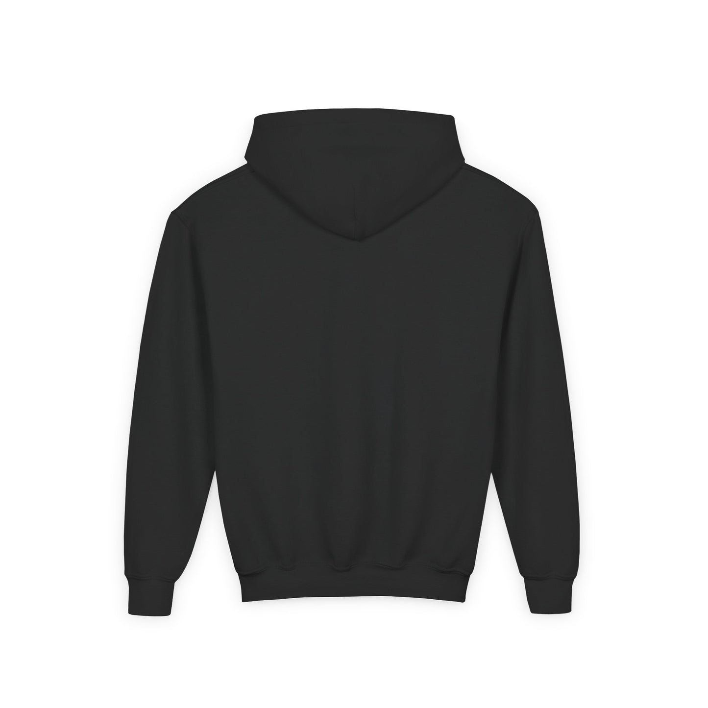 Youth Hoodie Sweatshirt \ Hackleburg Panthers Band \ HPB2