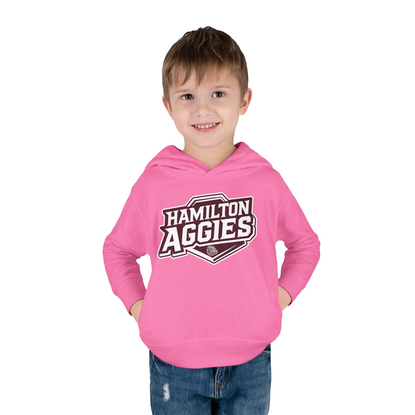Toddler Hoodie Sweatshirt \ Hamilton Aggies \ HA1