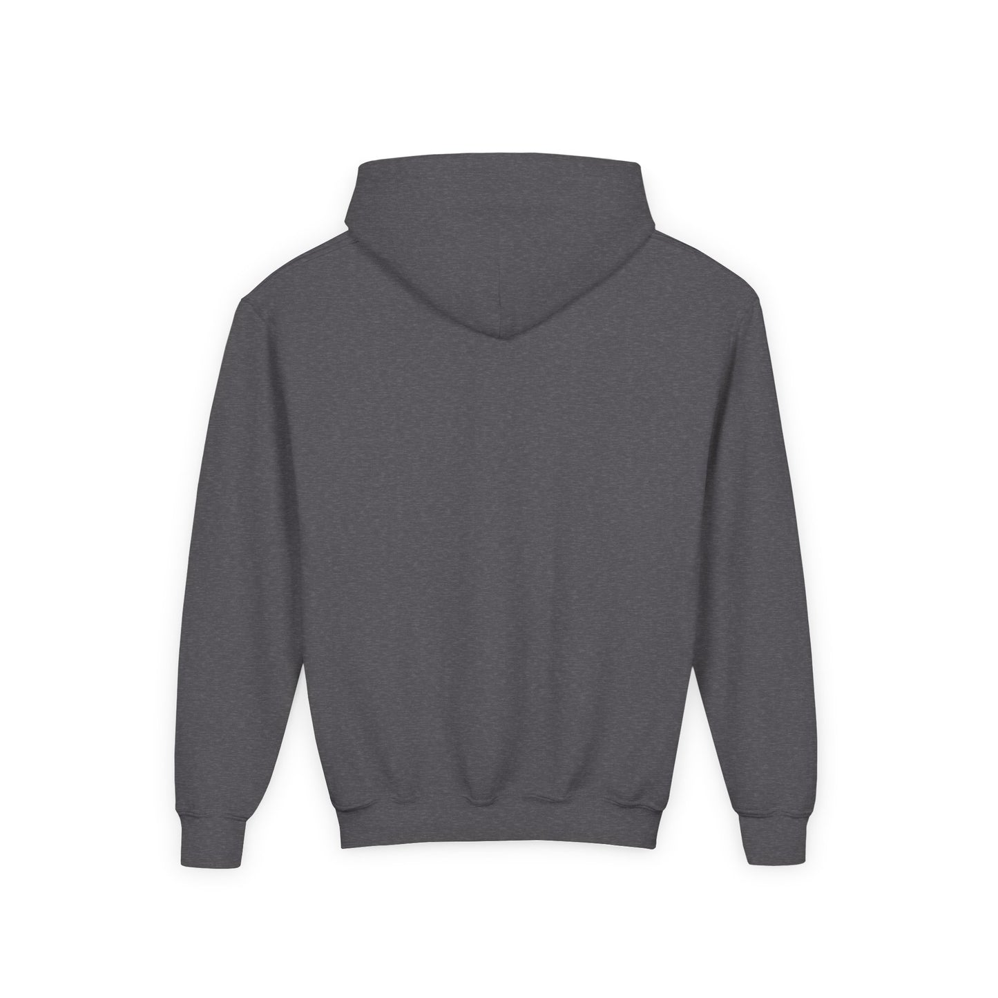 Youth Hoodie Sweatshirt \ Hackleburg Panthers Band \ HPB2