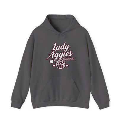 Adult Hoodie Sweatshirt \ Hamilton Aggies Basketball \ HABBG2