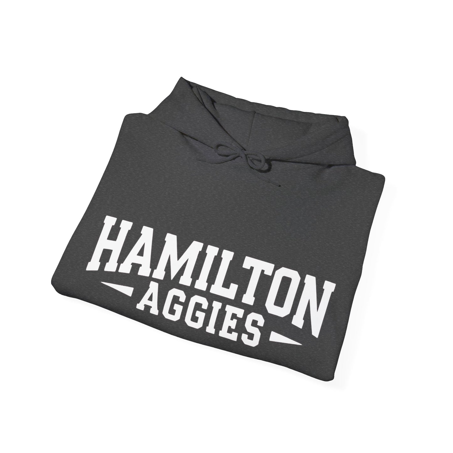 Adult Hooded Sweatshirt \ Hamilton Aggies \ HA3