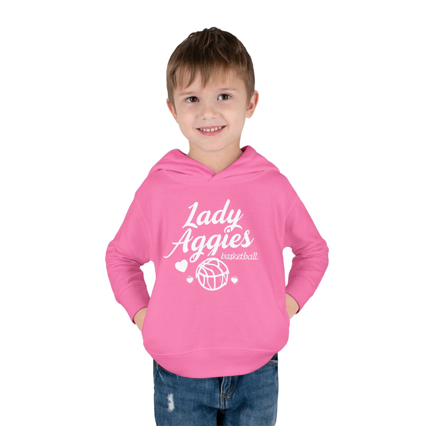 Toddler Hoodie Sweatshirt \ Hamilton Aggies Basketball \ HABBG2