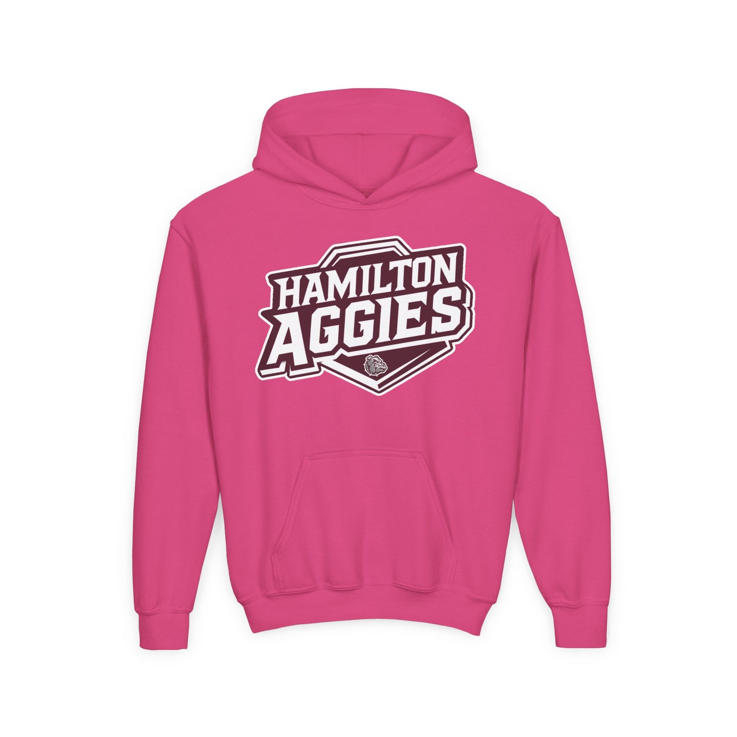 Youth Hoodie Sweatshirt \ Hamilton Aggies \ HA1