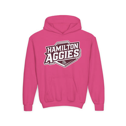 Youth Hoodie Sweatshirt \ Hamilton Aggies \ HA1