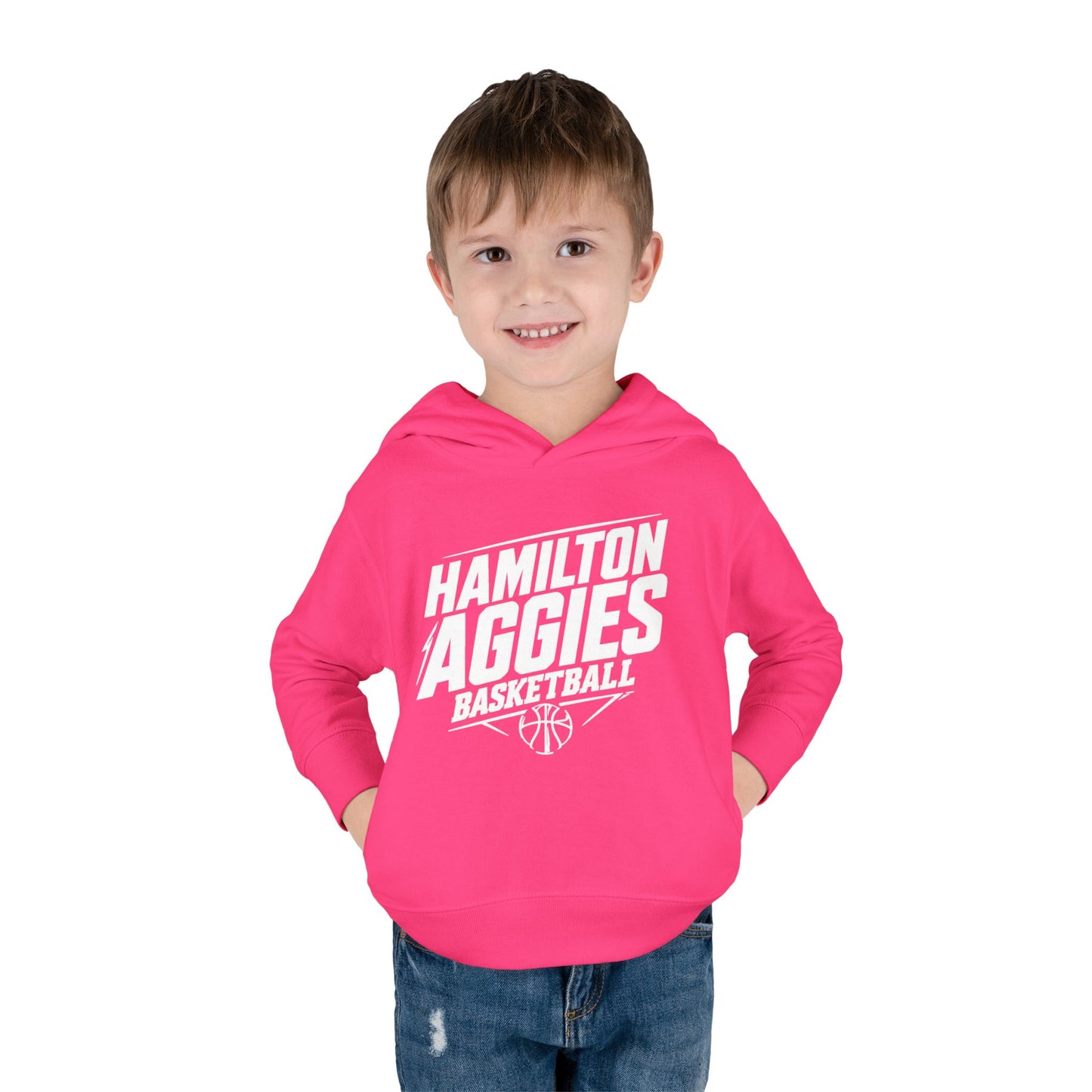 Toddler Hoodie Sweatshirt \ Hamilton Aggies Basketball \ HABB2