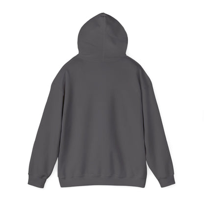 Adult Hoodie Sweatshirt \ Brilliant Tigers Cheer \ BTC2