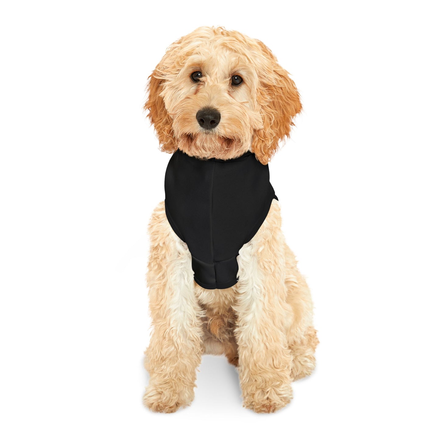 Pet Hoodie \ Hackleburg Panthers Band \ HPB1