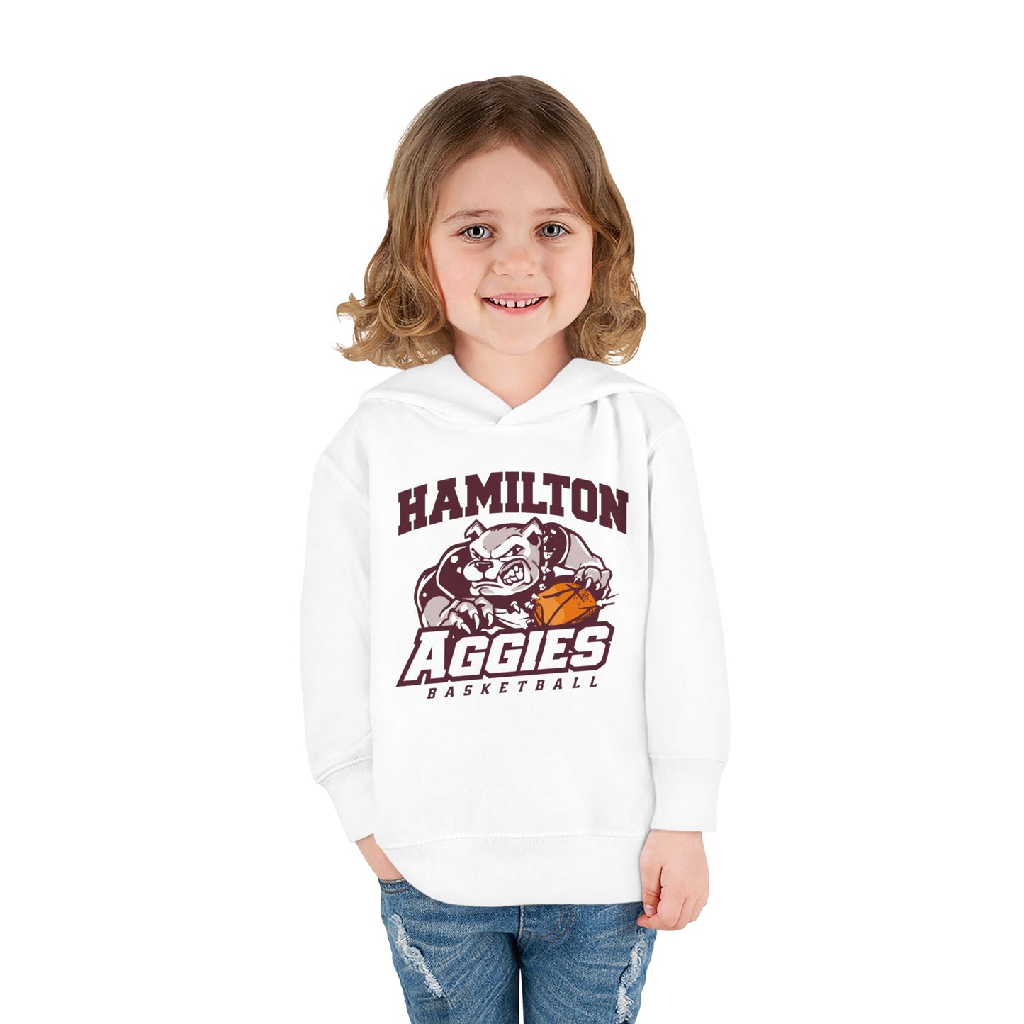 Toddler Hoodie Sweatshirt \ Hamilton Aggies Basketball \ HABB1