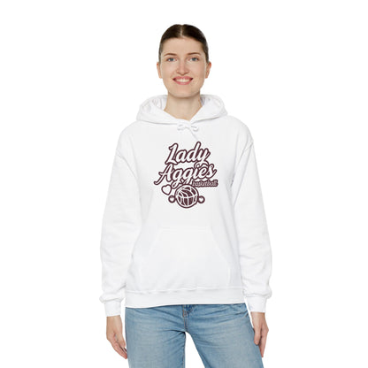 Adult Hoodie Sweatshirt \ Hamilton Aggies Basketball \ HABBG2