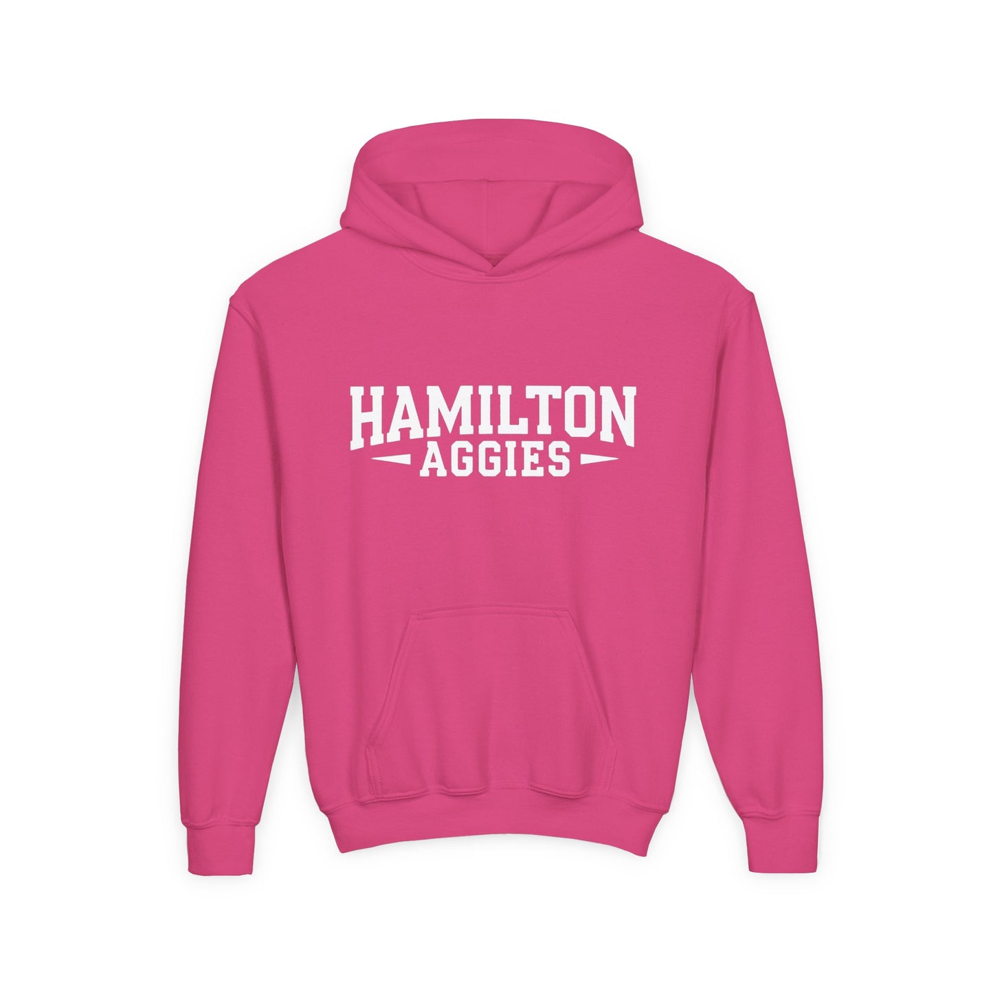 Youth Hoodie Sweatshirt \ Hamilton Aggies \ HA3