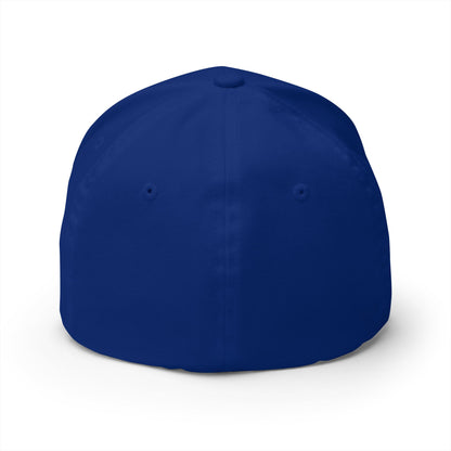 Closed-Back Structured Cap \ Brilliant Tigers \ BTCBCD1