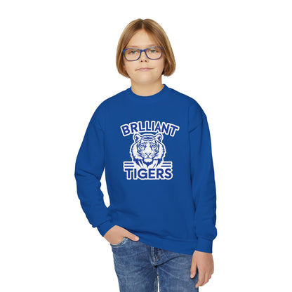 Youth Crewneck Sweatshirt \ Brilliant Tigers \ BT1