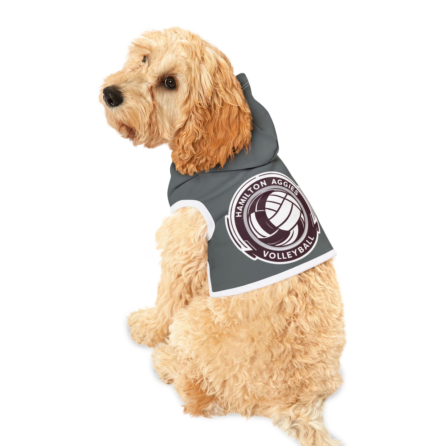 Pet Hoodie \ Hamilton Aggies Volleyball \ HAV1