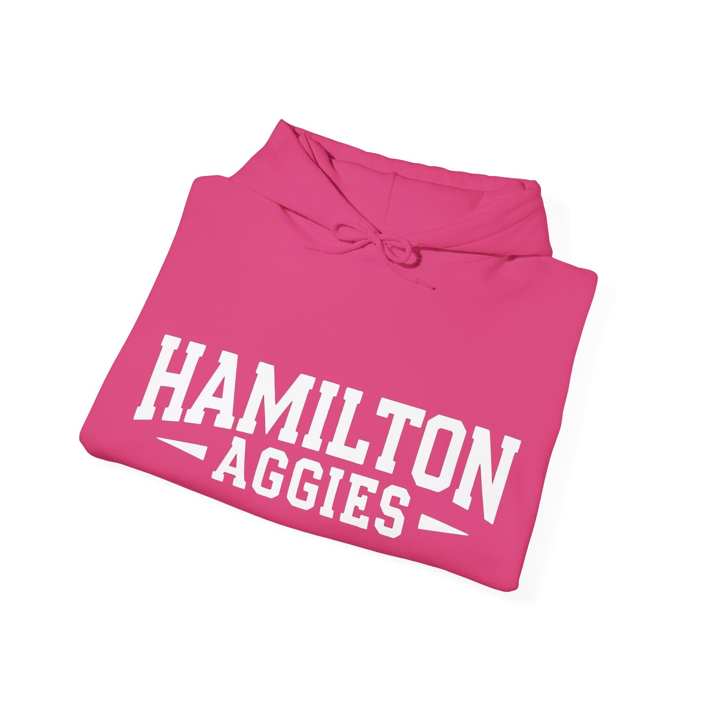 Adult Hooded Sweatshirt \ Hamilton Aggies \ HA3
