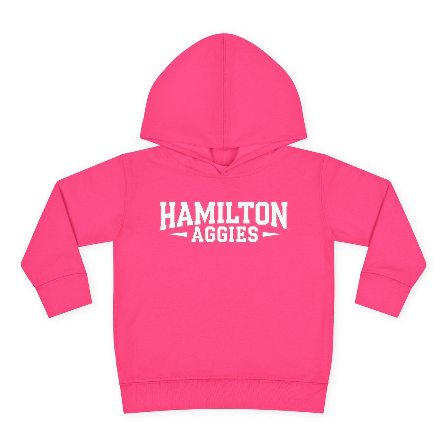 Toddler Hoodie Sweatshirt \ Hamilton Aggies \ HA3