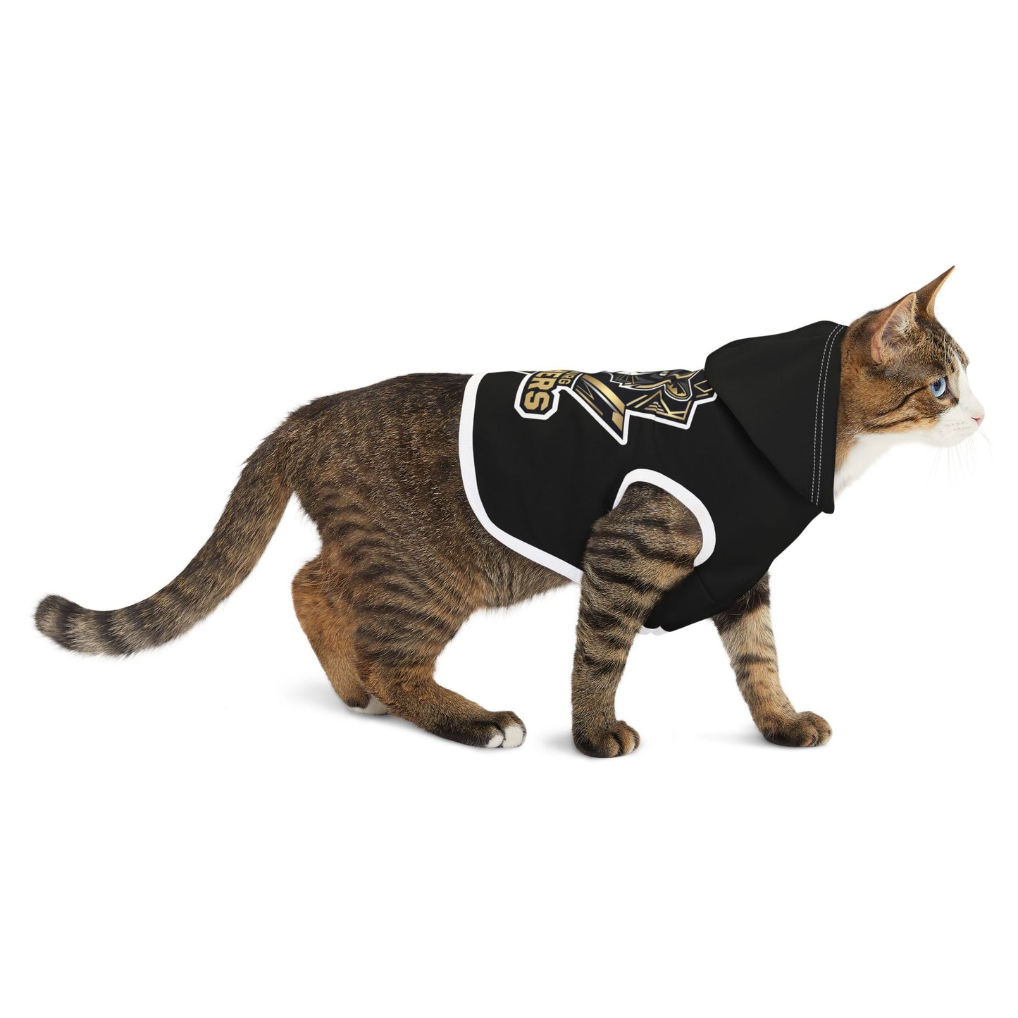 Pet Hoodie \ Hackleburg Panthers \ HP1