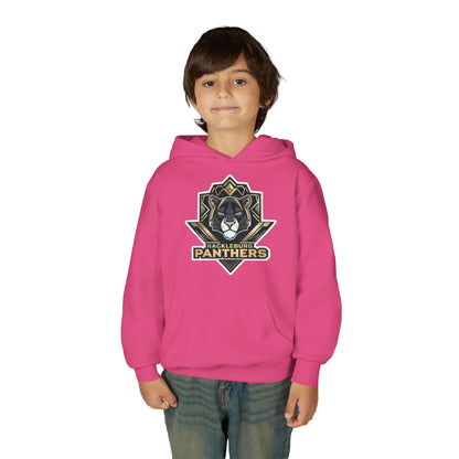 Youth Hoodie Sweatshirt \ Hackleburg Panthers \ HP1