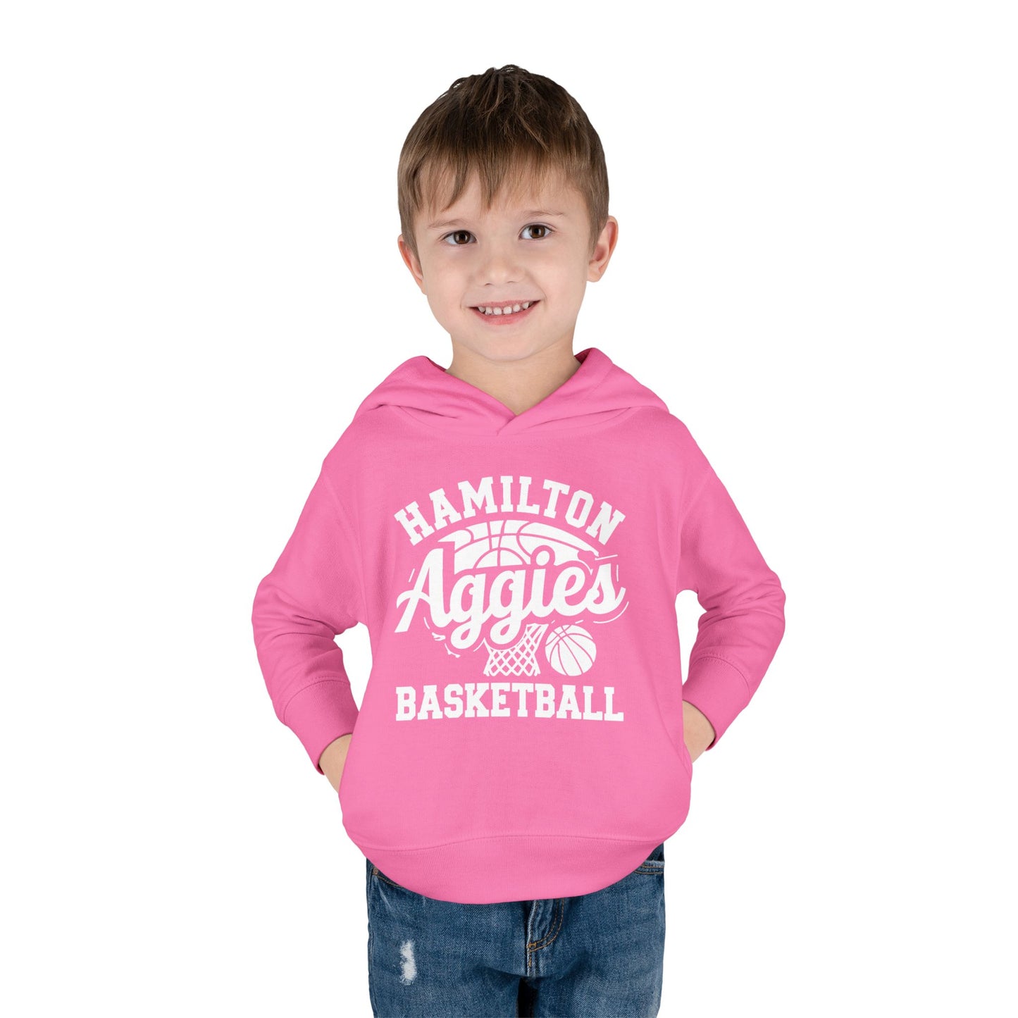 Toddler Hoodie Sweatshirt \ Hamilton Aggies Basketball \ HABBG1