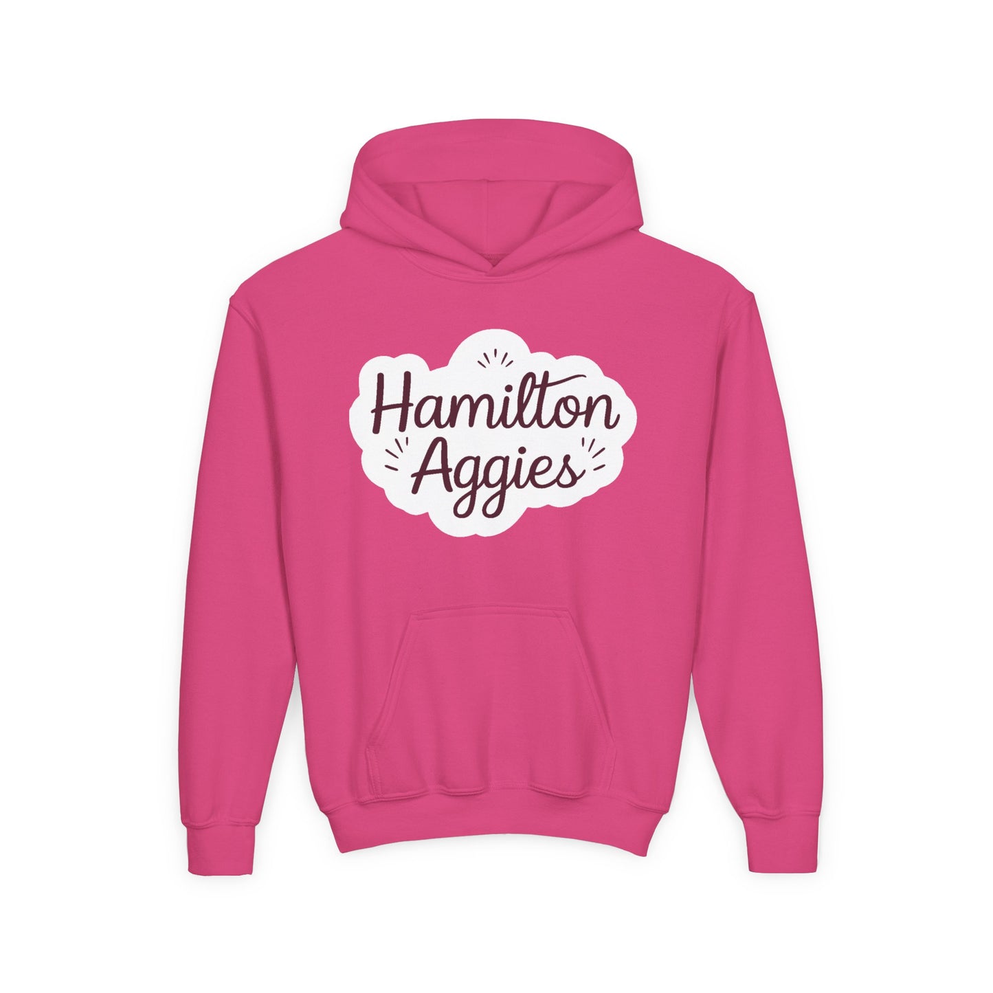 Youth Hoodie Sweatshirt \ Hamilton Aggies \ HAG1