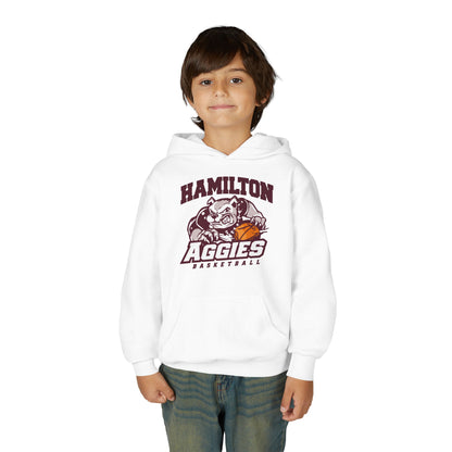 Youth Hoodie Sweatshirt \ Hamilton Aggies Basketball \ HABB1