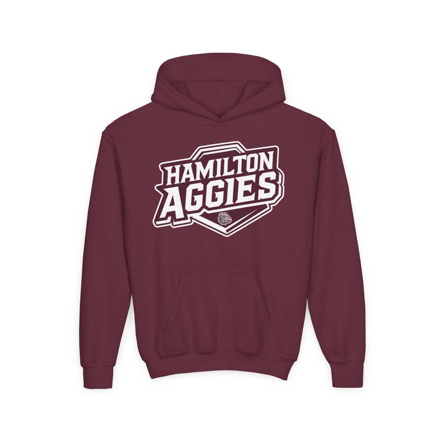 Youth Hoodie Sweatshirt \ Hamilton Aggies \ HA1
