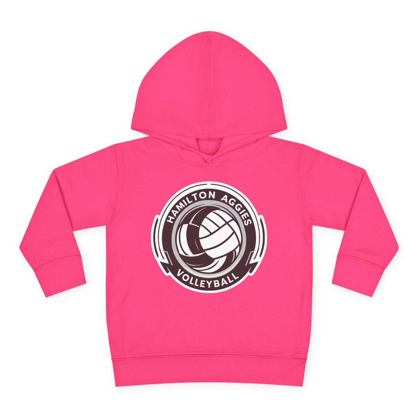 Toddler Hoodie Sweatshirt \ Hamilton Aggies Volleyball \ HAV1