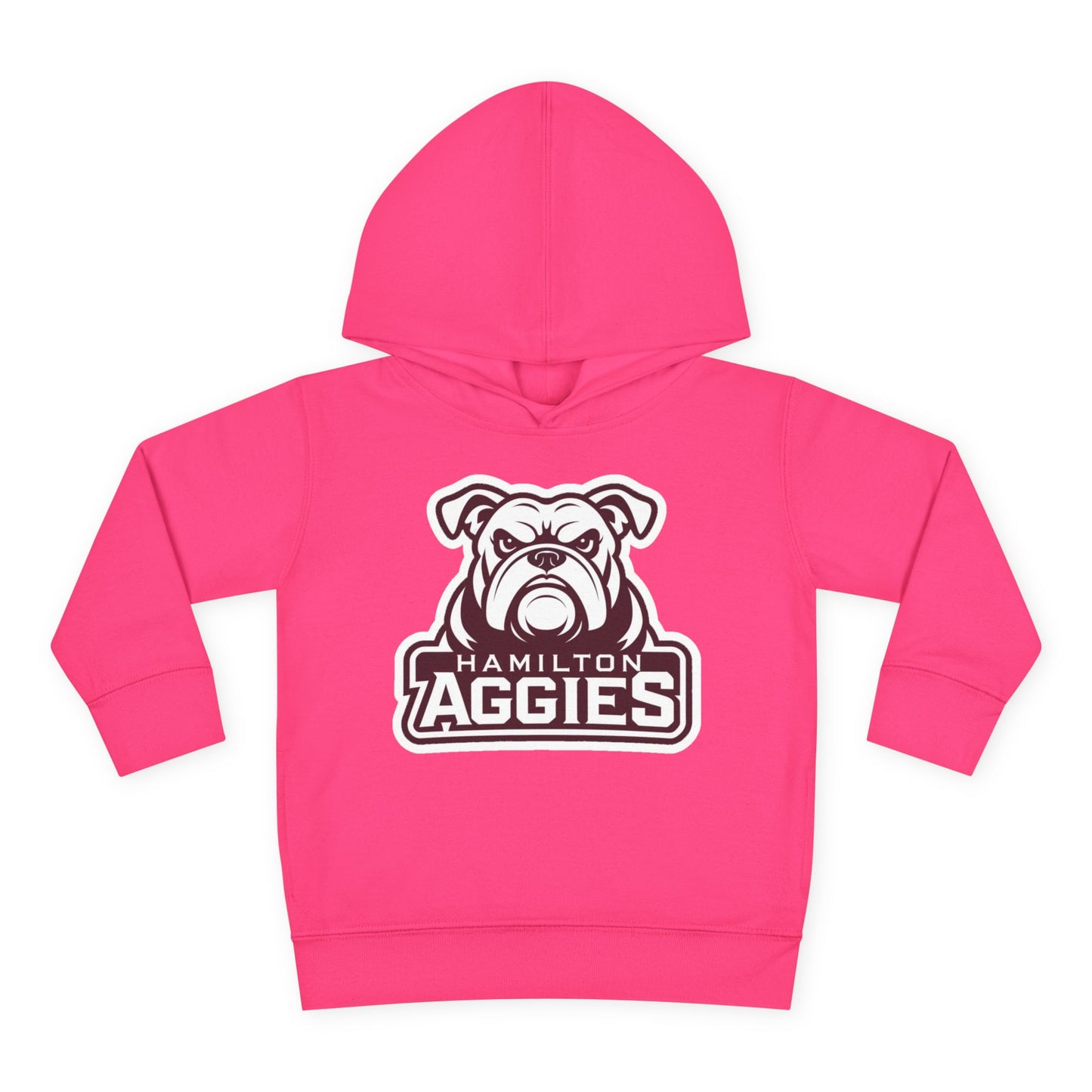 Toddler Hoodie Sweatshirt \ Hamilton Aggies \ HA4