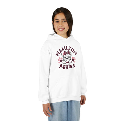 Youth Hoodie Sweatshirt \ Hamilton Aggies \ HAG3