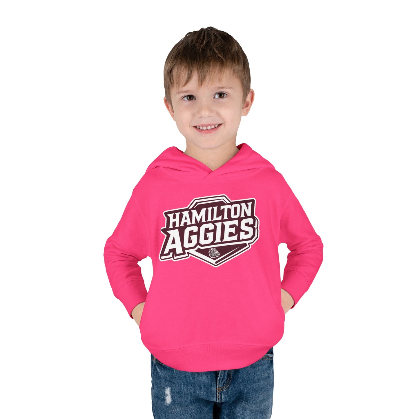 Toddler Hoodie Sweatshirt \ Hamilton Aggies \ HA1