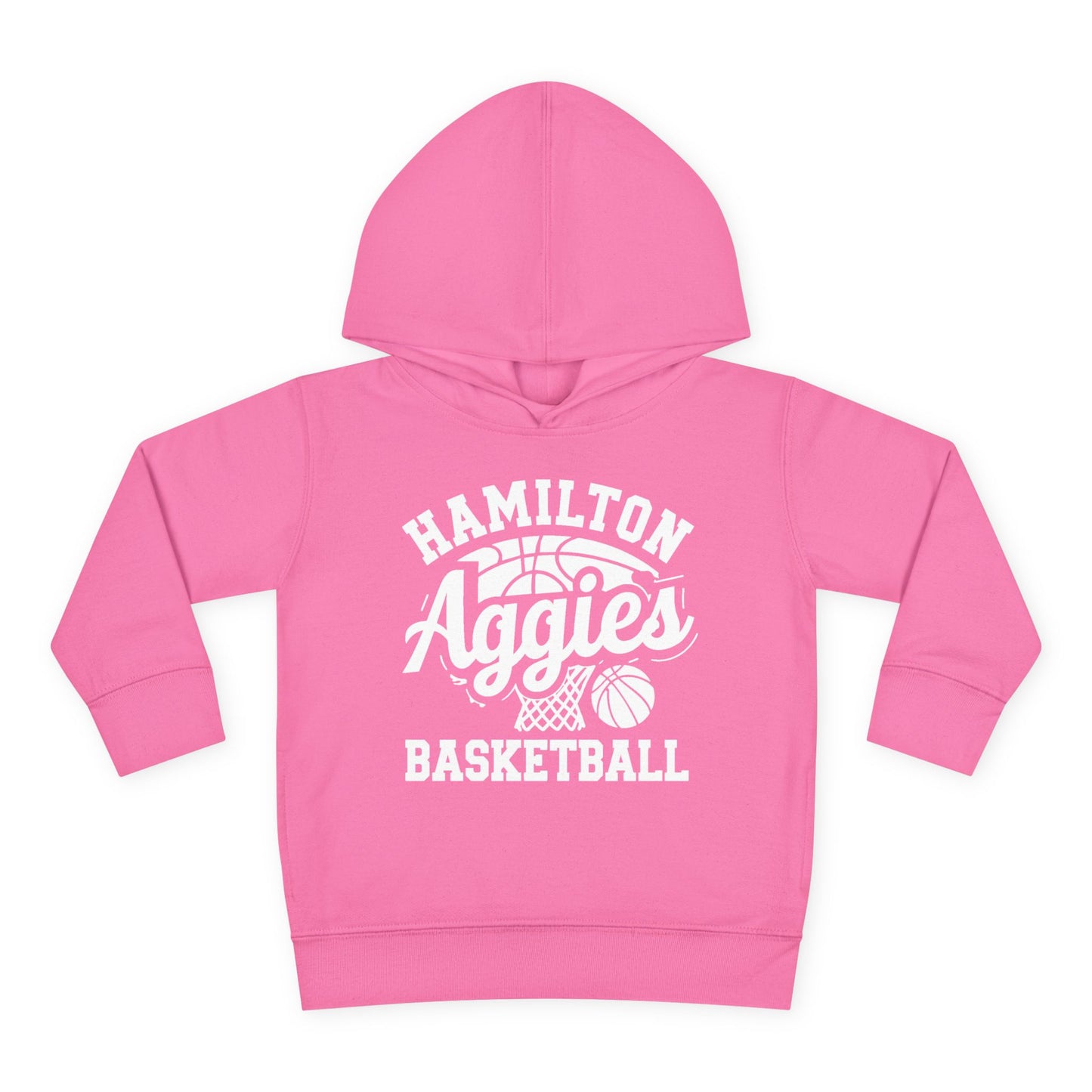 Toddler Hoodie Sweatshirt \ Hamilton Aggies Basketball \ HABBG1