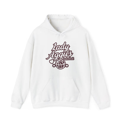 Adult Hoodie Sweatshirt \ Hamilton Aggies Basketball \ HABBG2