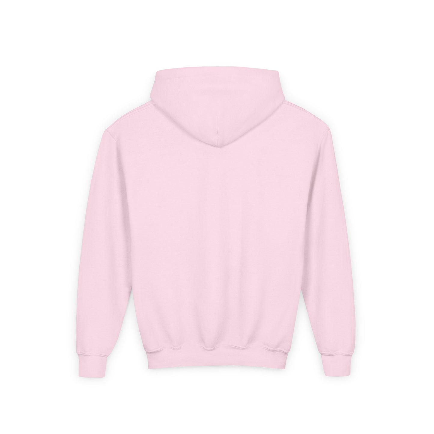 Youth Hoodie Sweatshirt \ Hackleburg Panthers Band \ HPB2