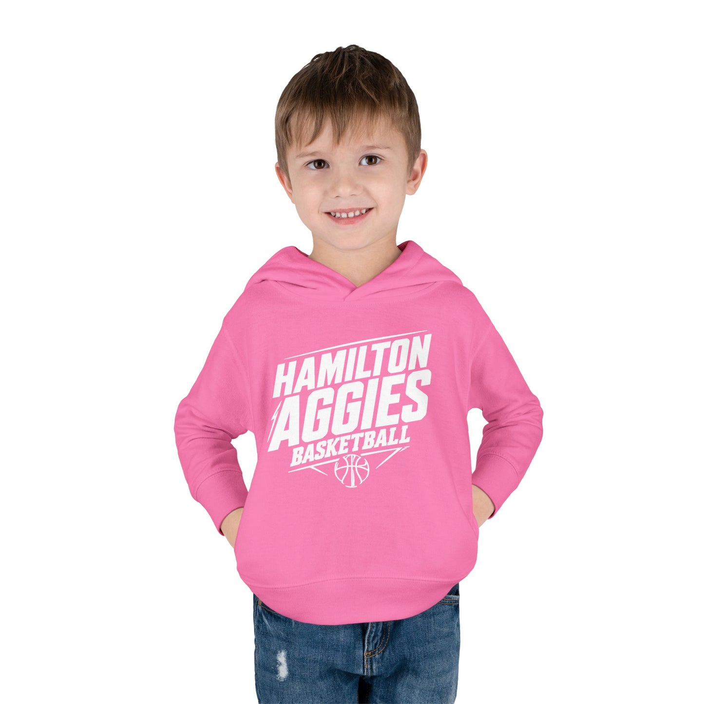 Toddler Hoodie Sweatshirt \ Hamilton Aggies Basketball \ HABB2