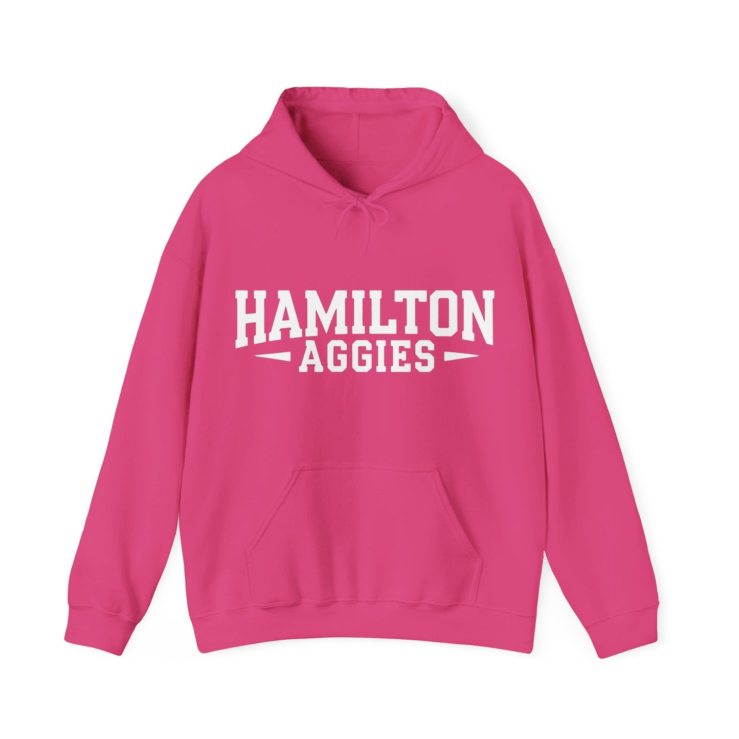 Adult Hooded Sweatshirt \ Hamilton Aggies \ HA3