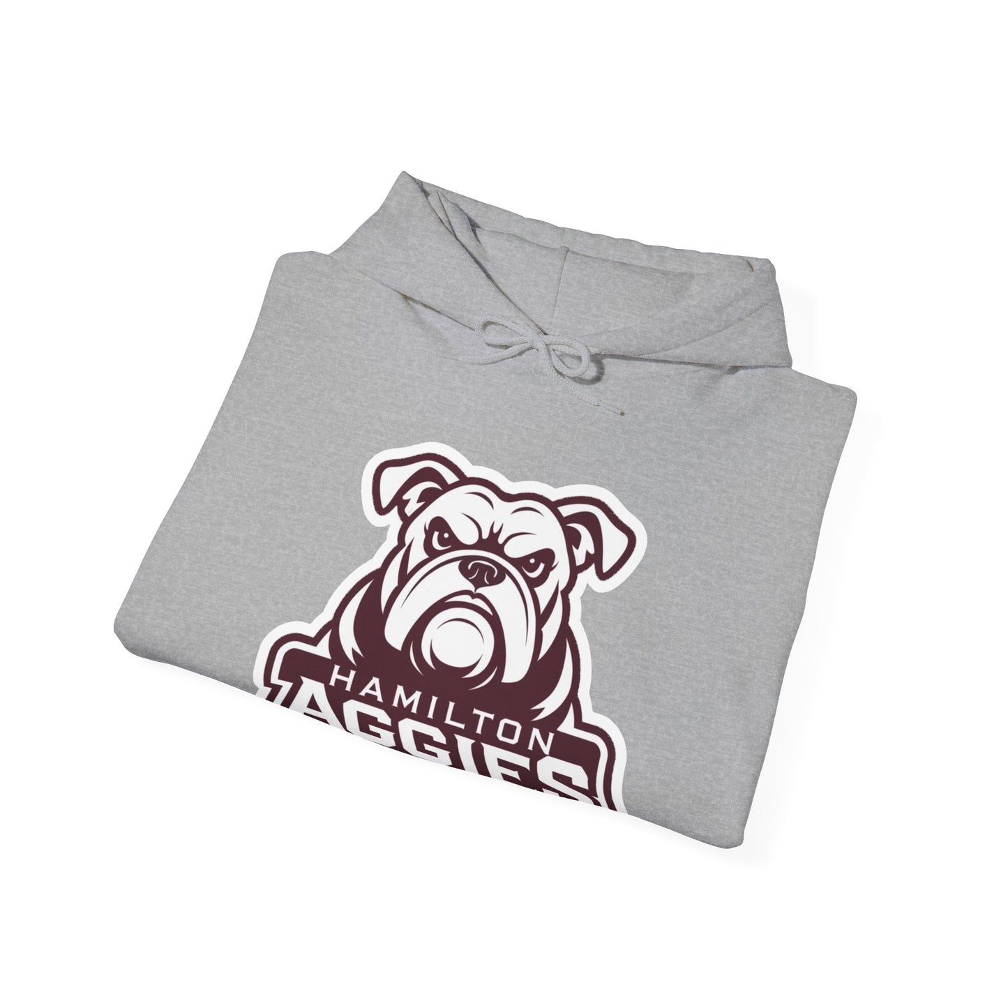 Adult Hoodie Sweatshirt \ Hamilton Aggies \ HA4