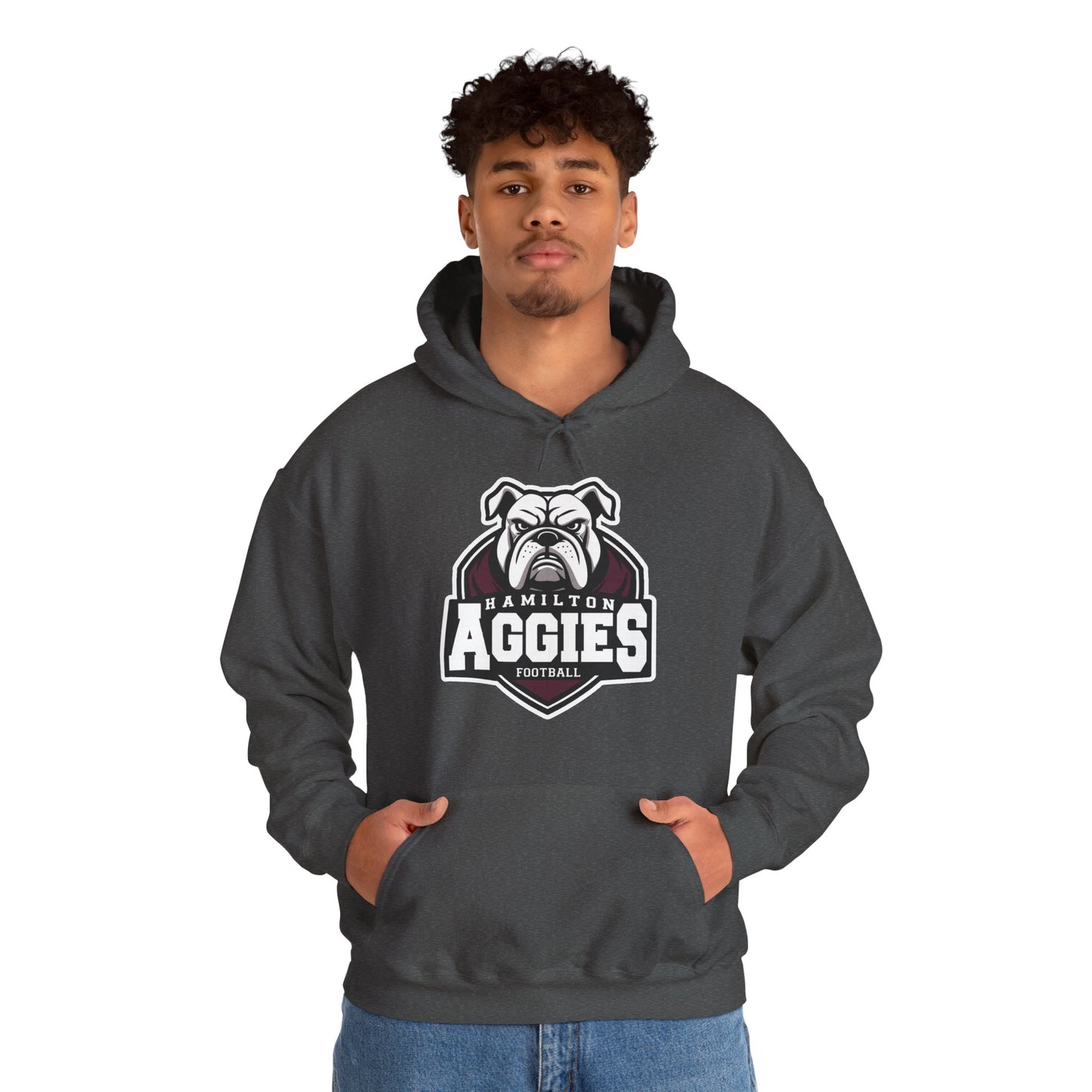 Adult Hoodie Sweatshirt \ Hamilton Aggies Football \ HAF2