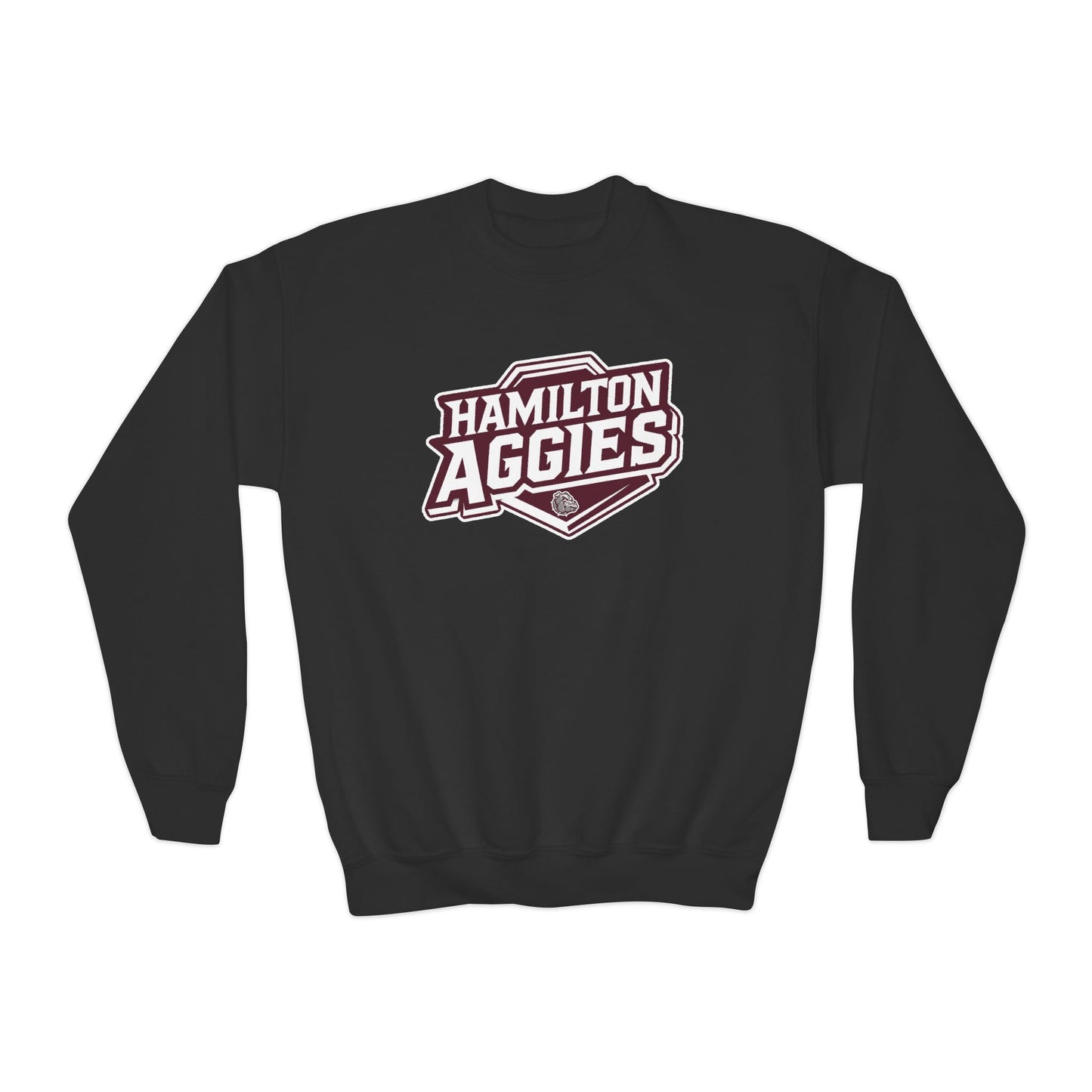 Youth Crewneck Sweatshirt \ Hamilton Aggies \ HA1