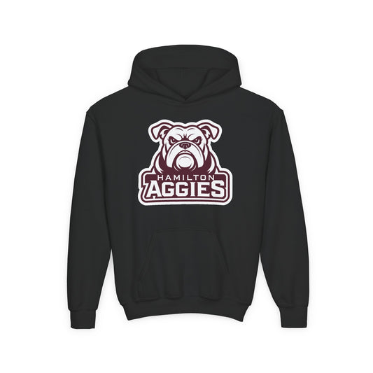 Youth Hoodie Sweatshirt \ Hamilton Aggies \ HA4