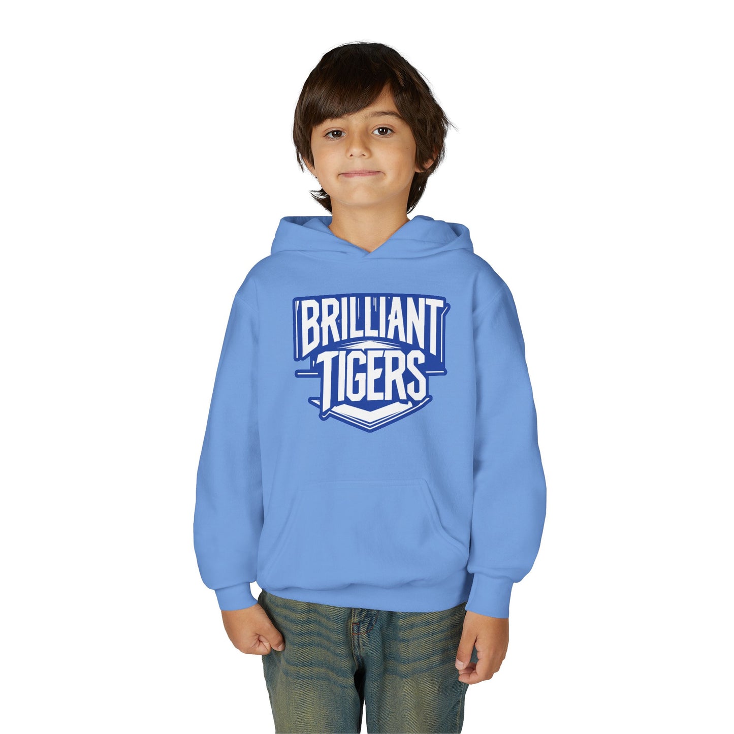 Youth Hooded Sweatshirt \ Brilliant Tigers \ BT2
