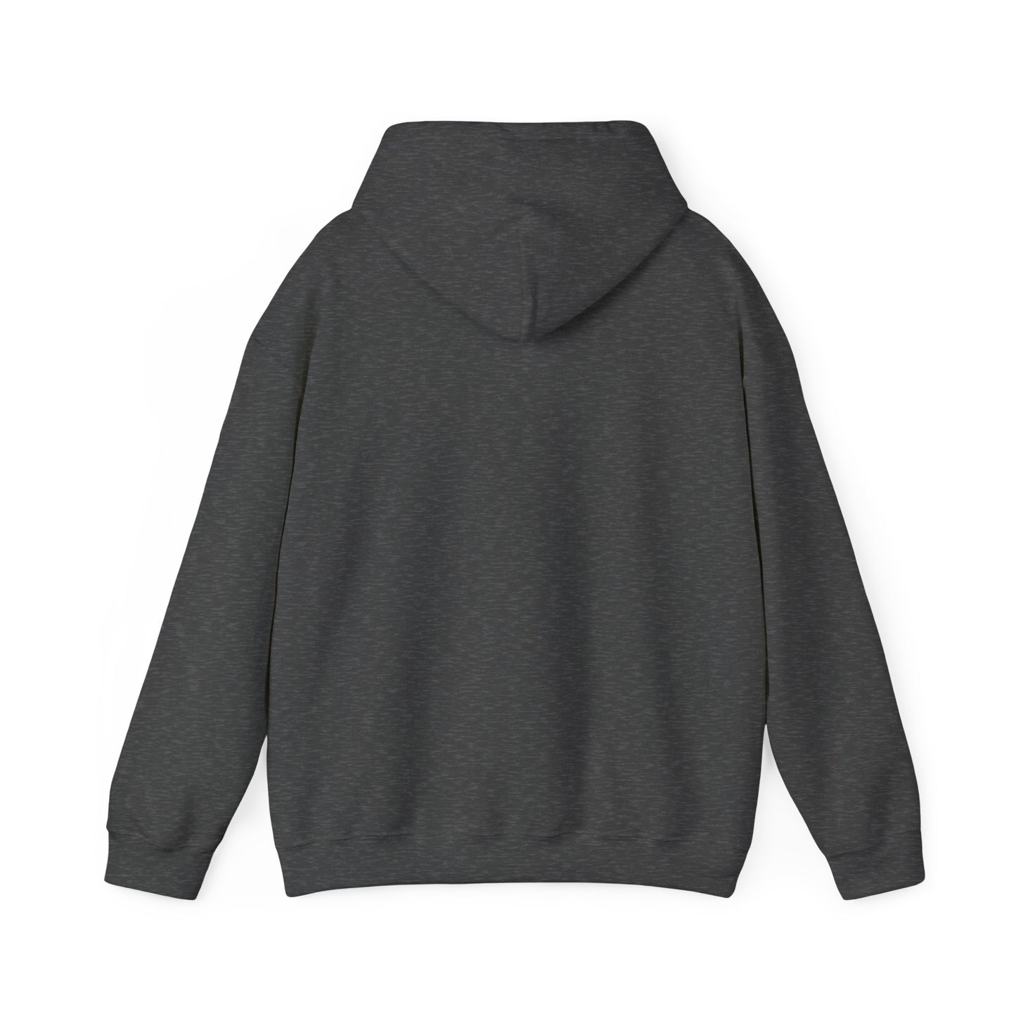 Adult Hoodie Sweatshirt \ Hamilton Aggies Volleyball \ HAV2