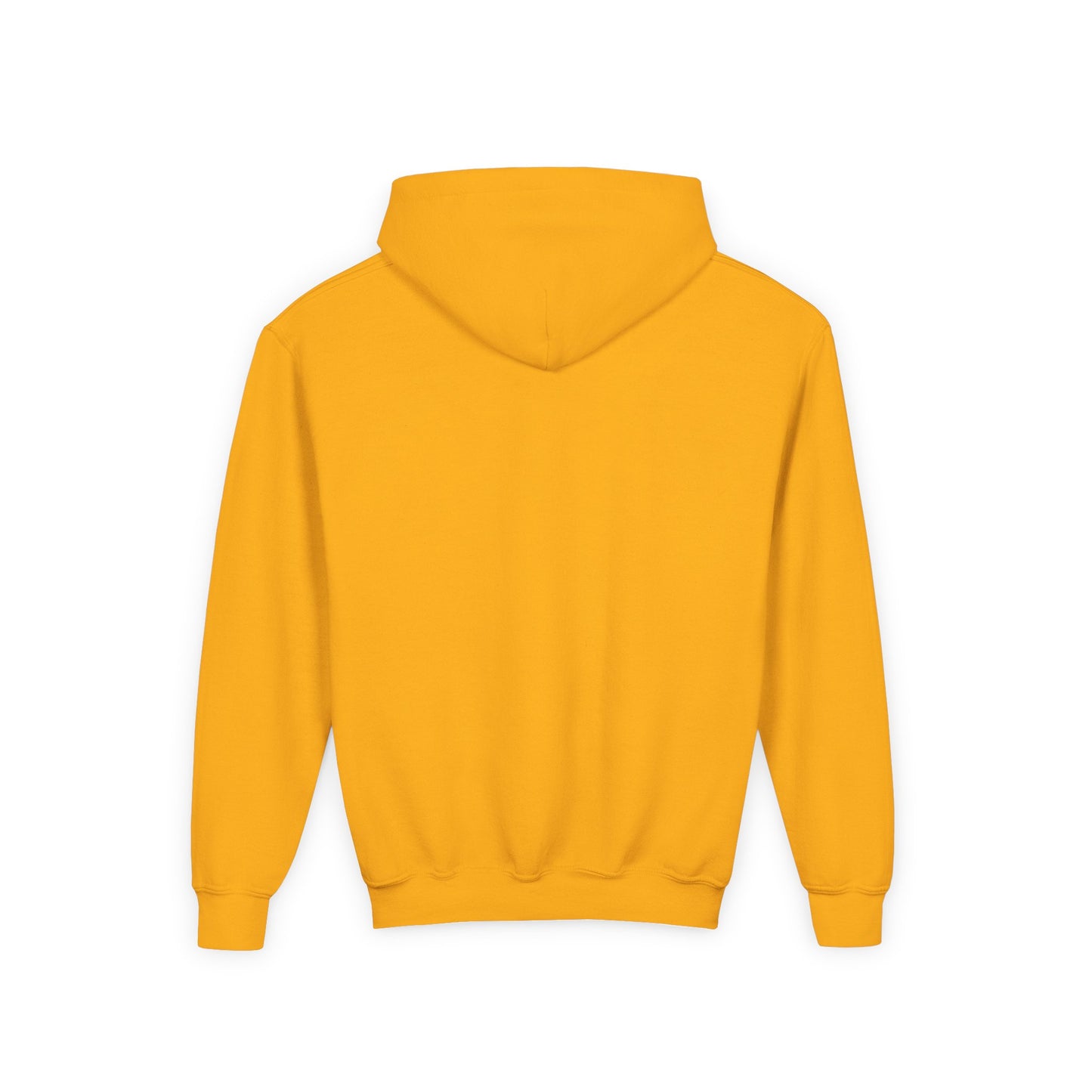 Youth Hoodie Sweatshirt \ Hackleburg Panthers Band \ HPB2