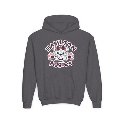 Youth Hoodie Sweatshirt \ Hamilton Aggies \ HAG3