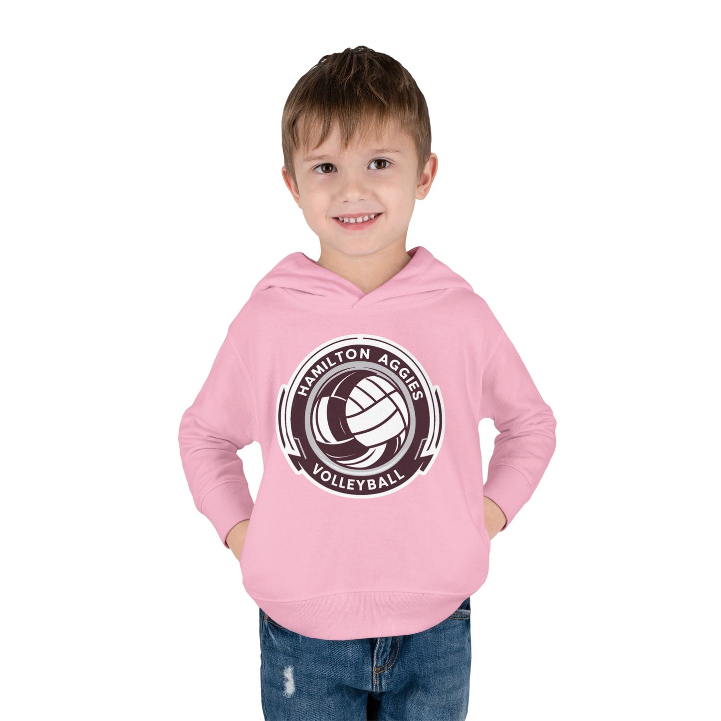 Toddler Hoodie Sweatshirt \ Hamilton Aggies Volleyball \ HAV1