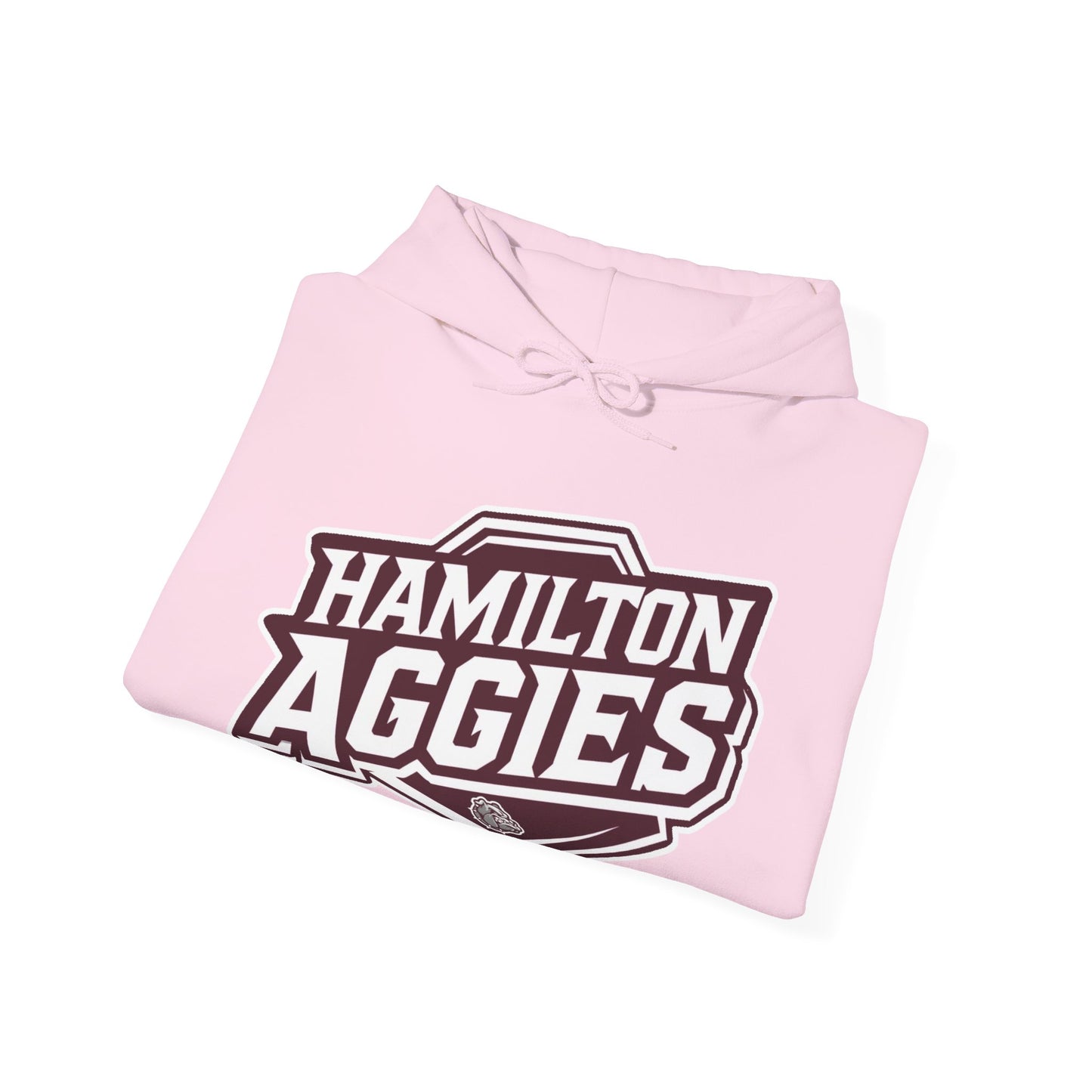 Adult Hoodie Sweatshirt \ Hamilton Aggies \ HA1