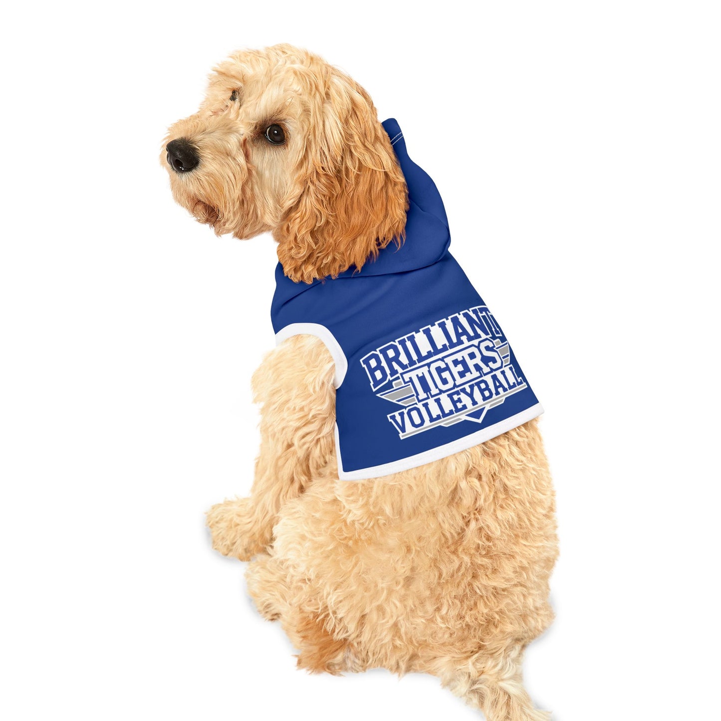 Pet Hoodie \ Brilliant Tigers Volleyball \ BTV2