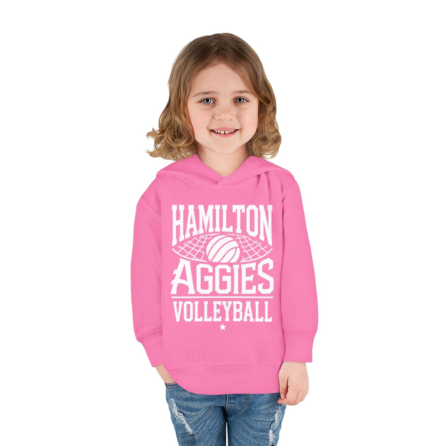 Toddler Hoodie Sweatshirt \ Hamilton Aggies Volleyball \ HAV2