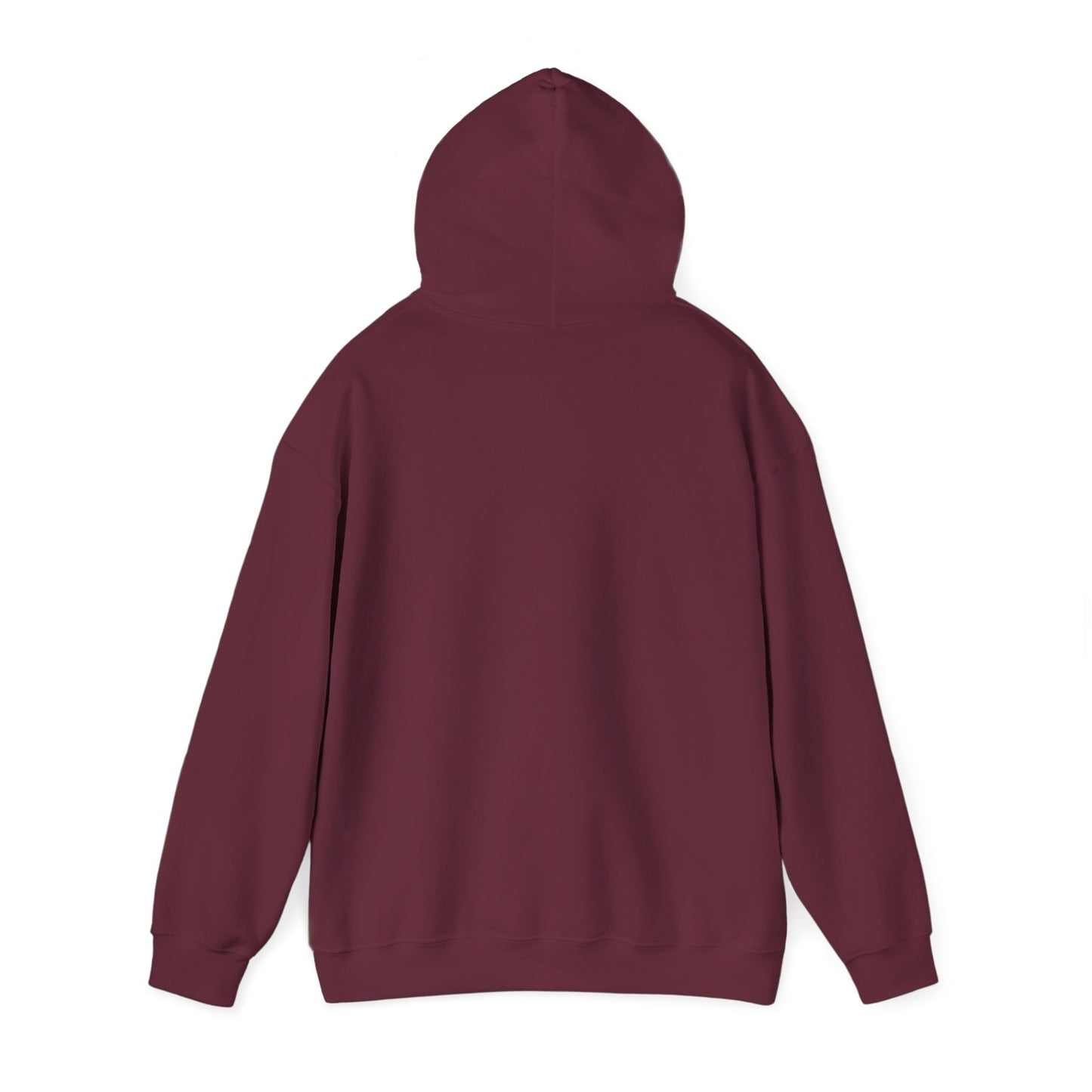 Adult Hoodie Sweatshirt \ Hamilton Aggies Volleyball \ HAV2
