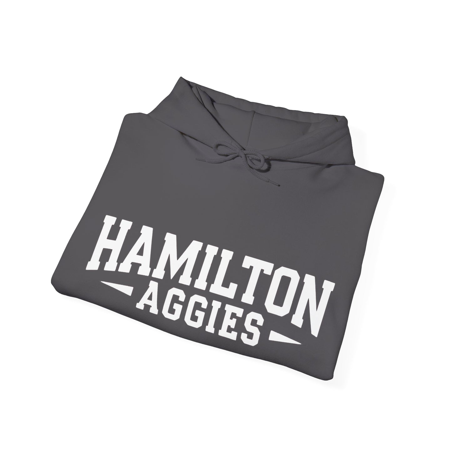 Adult Hooded Sweatshirt \ Hamilton Aggies \ HA3