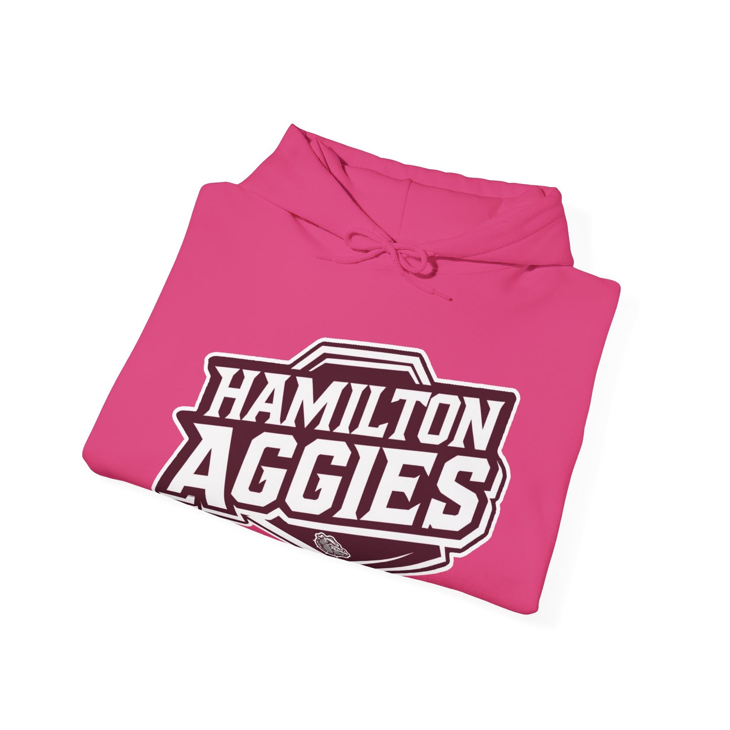 Adult Hoodie Sweatshirt \ Hamilton Aggies \ HA1